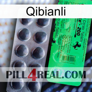Qibianli new04